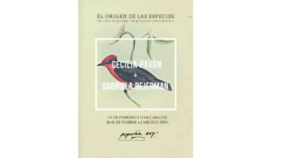 El origen de las especies: Cecilia Pavón + Gabriela Bejerman