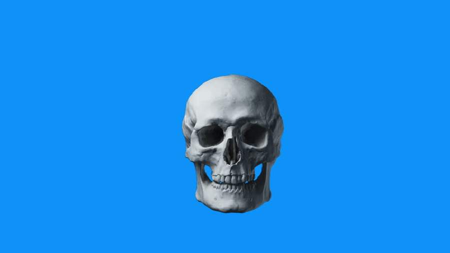 футажи череп. футаж черепа. череп логотип. череп альфа. неоновый череп.