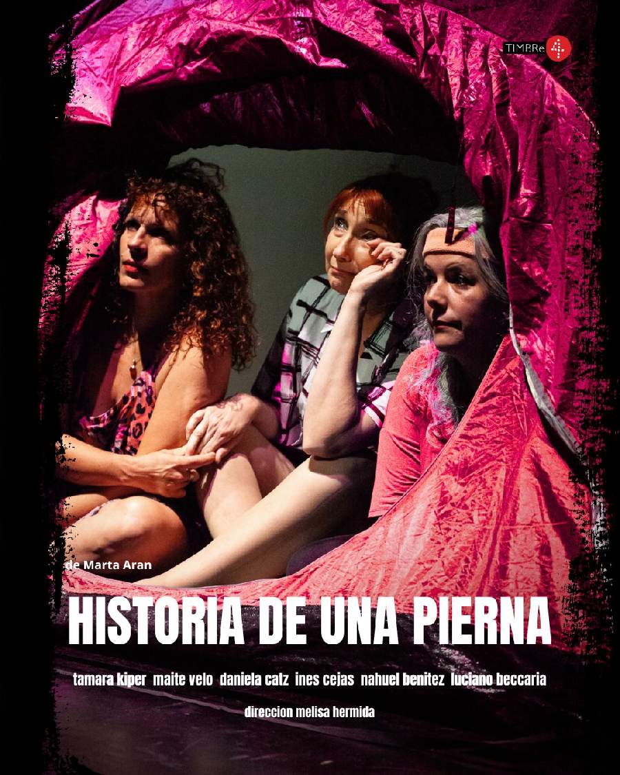 Historia de una pierna